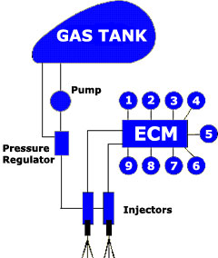 Harley Fuel Injection